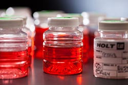 Holt cat certified fluids analysis, cat machine fluid analysis.